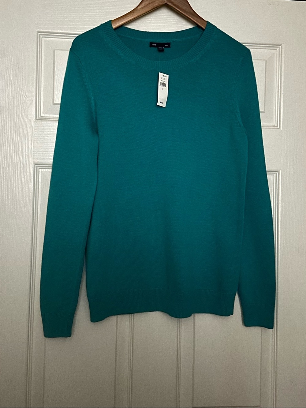 GAP Turquoise Knit Sweater